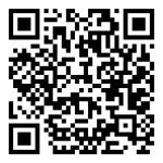 passé simple etre avoir aller