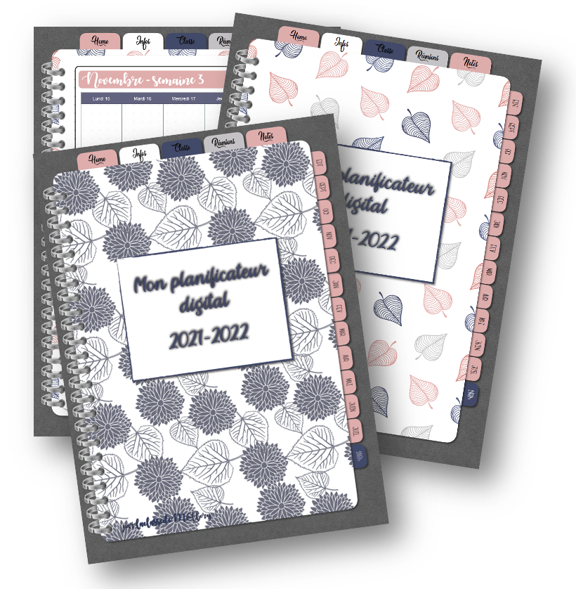 Capture d’écran 2021-04-19 à 19.41.25