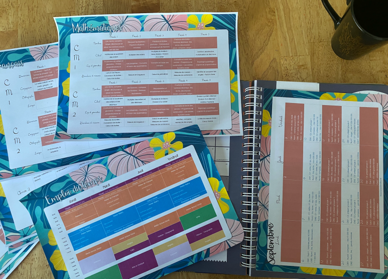 programmations et EDT – La classe de Mallory
