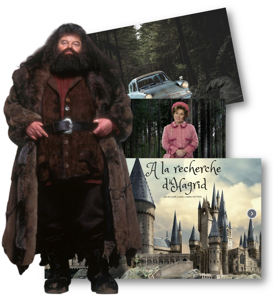 Capture d’écran 2022-06-08 à 18.46.28